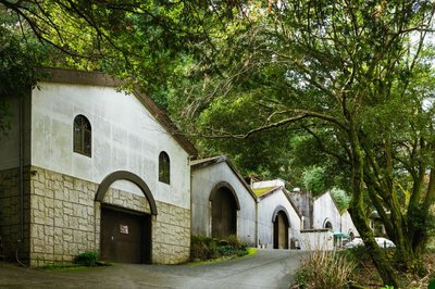 🍇 거봉 와이너리(쿄호 와이나리) 이미지 2